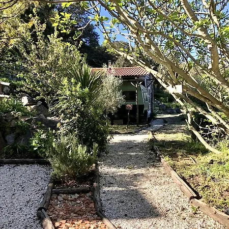 Serene Eco Retreat With Wood-fired Sauna & Mountain Spring Plunge Near Monchique, Algarve مونشيك