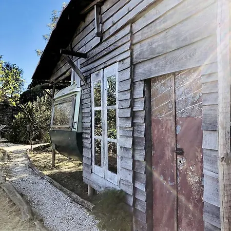 Serene Eco Retreat With Wood-fired Sauna & Mountain Spring Plunge Near Monchique, Algarve * מונצ'יק